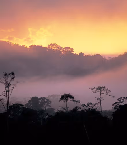Coucher de soleil sur la forêt amazonienne, Guyane