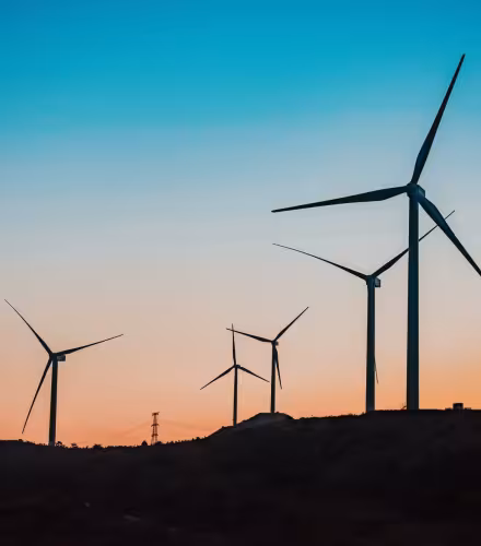 Champ d'éoliennes au coucher de soleil
